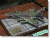 Turon05 F100 Croci 1-48.JPG